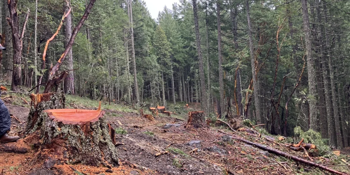 The Bureau of Land Management is running amok