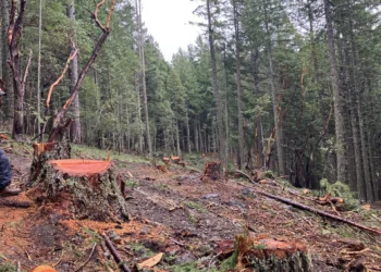 The Bureau of Land Management is running amok