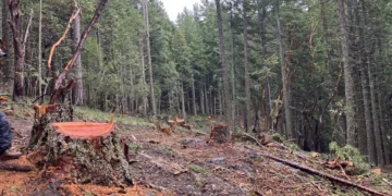 The Bureau of Land Management is running amok