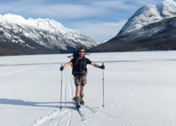 Dispatches from the Wild: Beyond boom or bust