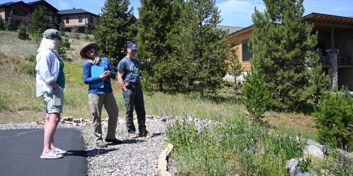 Thriving Landscapes: Designing for Big Sky’s environment