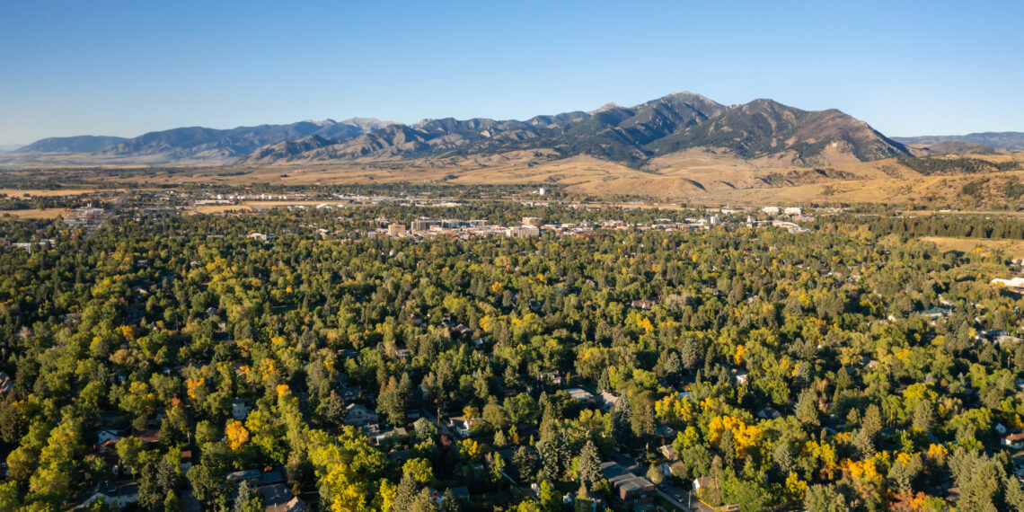 City of Bozeman seeks public input on urban forest management 
