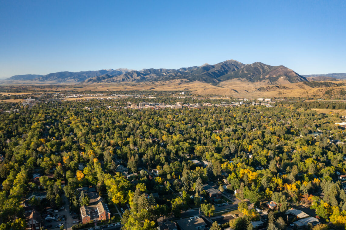 City of Bozeman seeks public input on urban forest management 