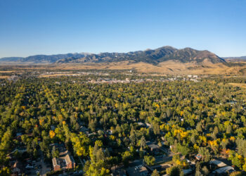 City of Bozeman seeks public input on urban forest management 