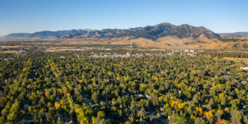City of Bozeman seeks public input on urban forest management 