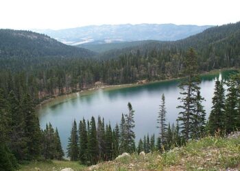 Tranquil mountain lake surrounded by evergreen forest and distant snow-capped peaks.