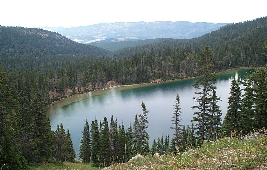 Tranquil mountain lake surrounded by evergreen forest and distant snow-capped peaks.