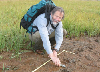 Dispatches from the Wild: Jim Halfpenny 