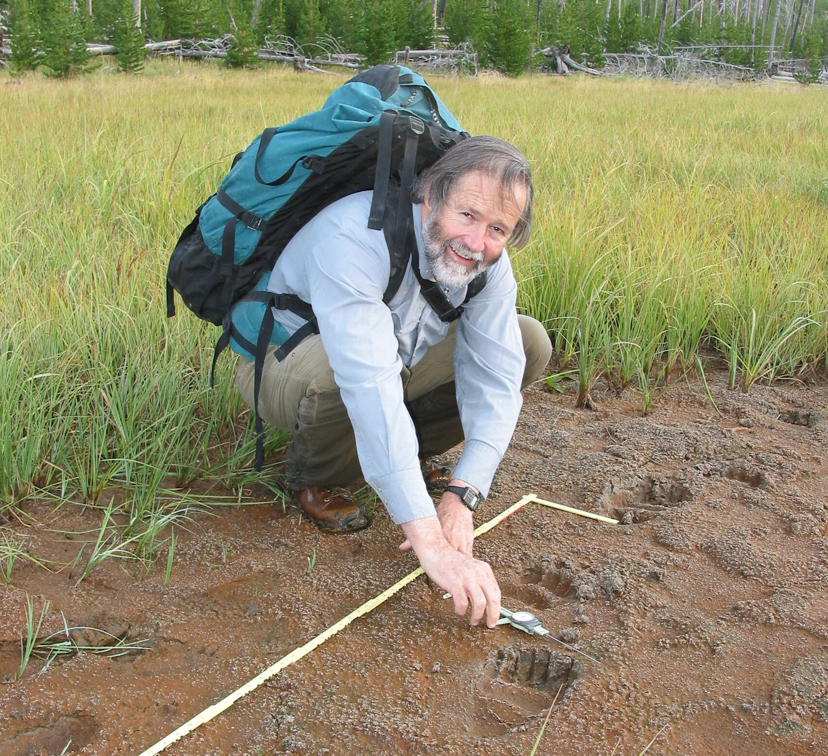 Dispatches from the Wild: Jim Halfpenny 