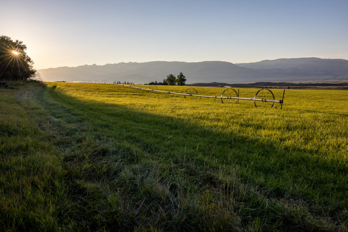 Wide rural landscape at sunrise: a long center-pivot irrigation line across a green field with distant mountains and a sun-directed glow on the left side.