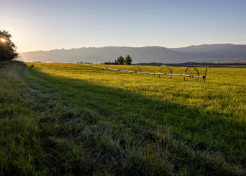 Wide rural landscape at sunrise: a long center-pivot irrigation line across a green field with distant mountains and a sun-directed glow on the left side.
