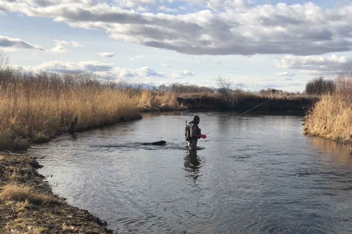 Fisherman in waders standing in a shallow river, casting a line amid tall marsh reeds and cloudy sky.