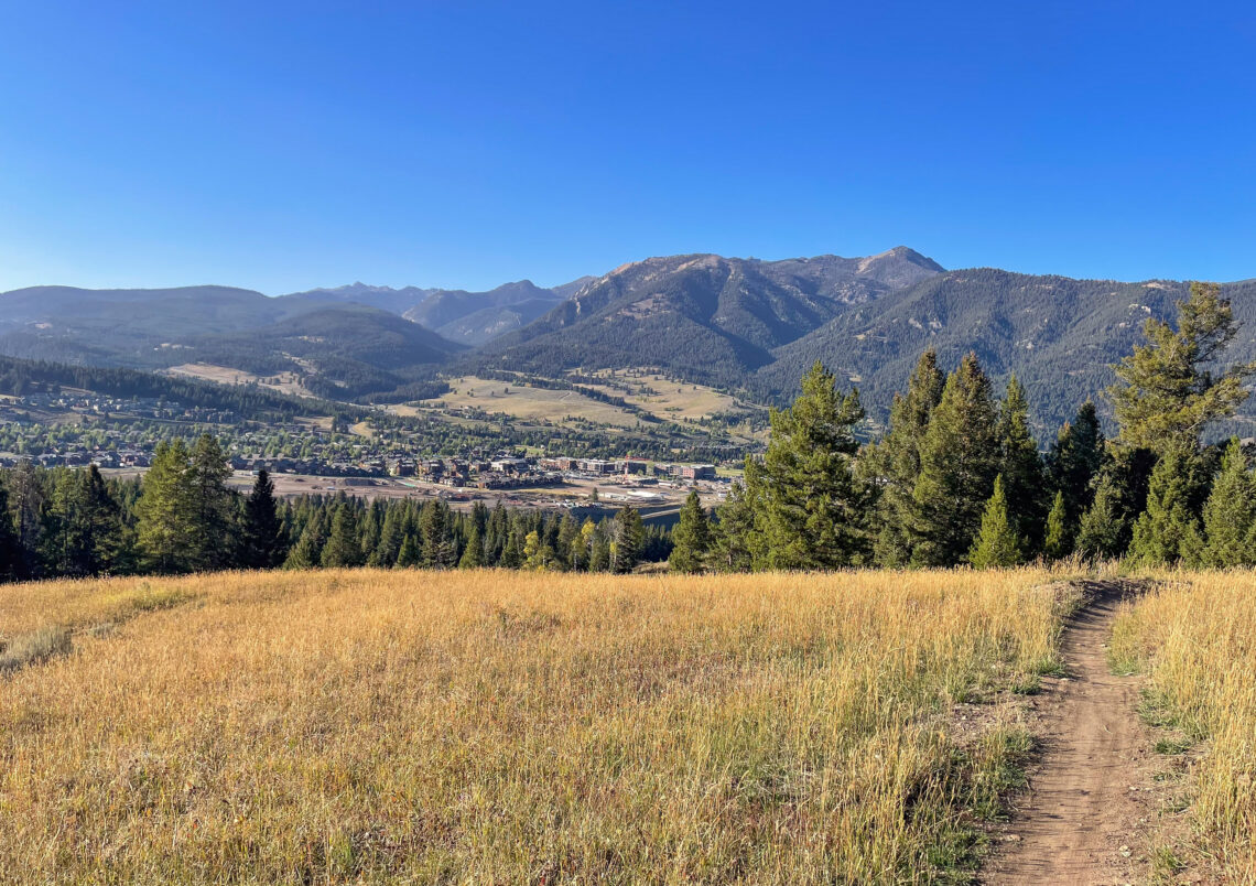 Wide valley with golden grasses, a dirt path on the right, and forested mountains under a clear blue sky.