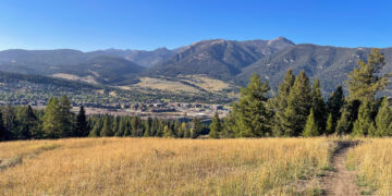 Wide valley with golden grasses, a dirt path on the right, and forested mountains under a clear blue sky.