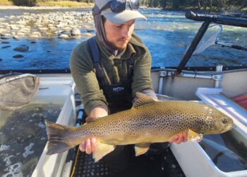 Every Drop Counts: Gallatin fish count tells a story about the health of the river