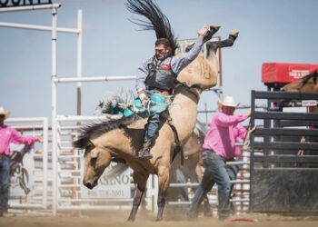 Rider in a protective vest and teal chaps leaps off a bucking horse in a rodeo arena, dust kicking up around them.