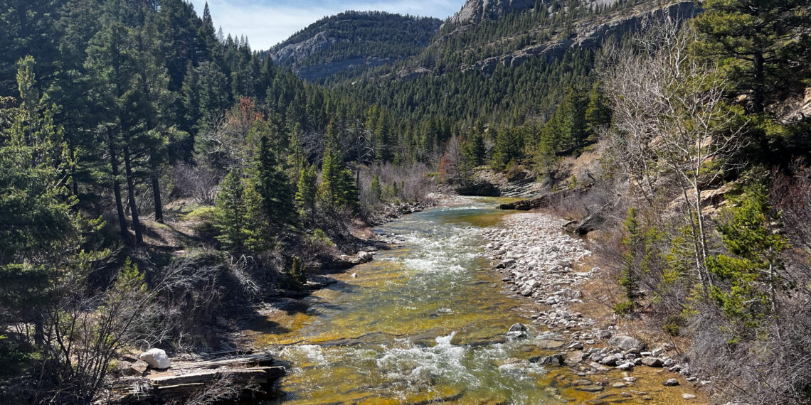 Rushing river winds through a rocky, forested canyon with evergreen trees and steep cliffs under a blue sky.