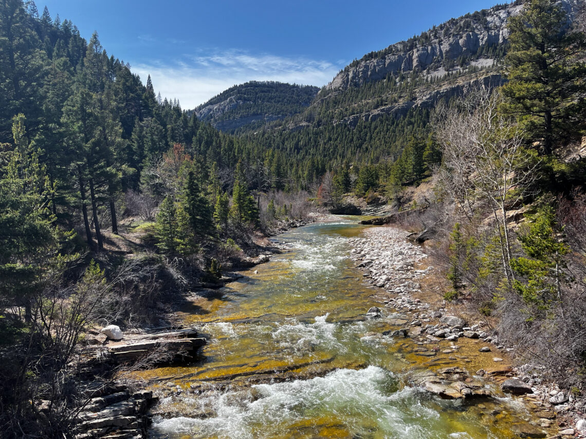 Rushing river winds through a rocky, forested canyon with evergreen trees and steep cliffs under a blue sky.