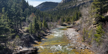Rushing river winds through a rocky, forested canyon with evergreen trees and steep cliffs under a blue sky.