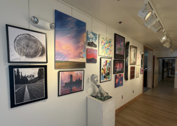 Gallery wall of assorted framed art along a well-lit hallway with wooden floor and track lighting above.