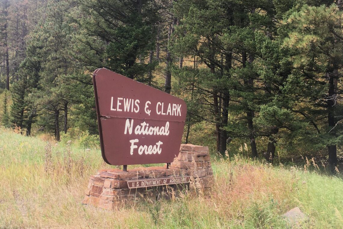 Brown roadside sign reading 'Lewis & Clark National Forest' in a forested, grassy area with evergreen trees behind it]