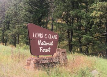 Brown roadside sign reading 'Lewis & Clark National Forest' in a forested, grassy area with evergreen trees behind it]