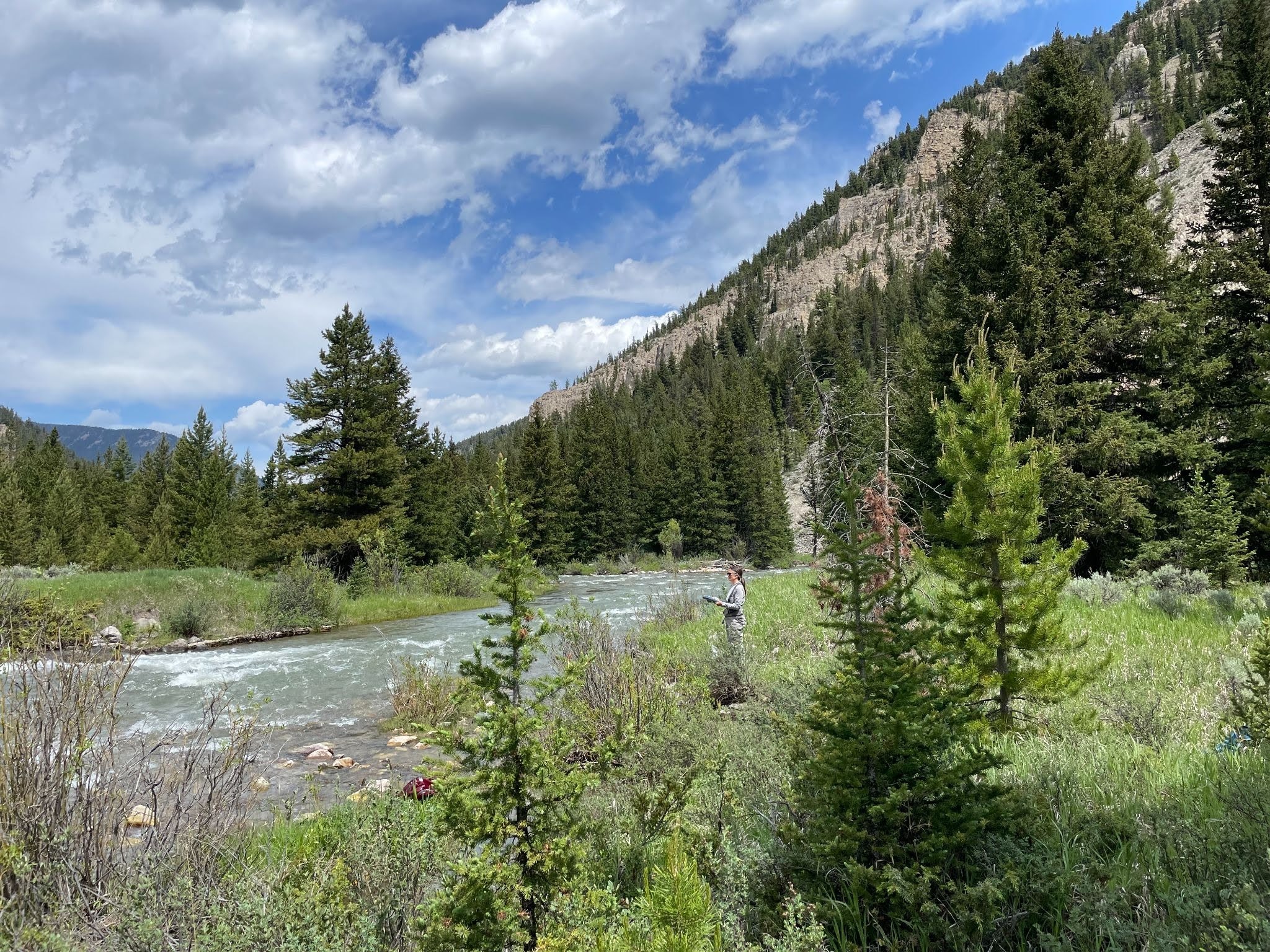 Hiker standing by a fast-moving river with dense pine trees and a rocky, sloped mountain to the right beneath a partly cloudy blue sky.