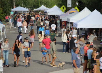 Crowd of people walking between vendor tents at a daylight street fair; a small dog on a leash in the foreground.