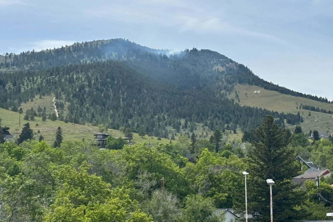 Mountain hillside covered with pine trees, with a few houses at the base under a clear blue sky.