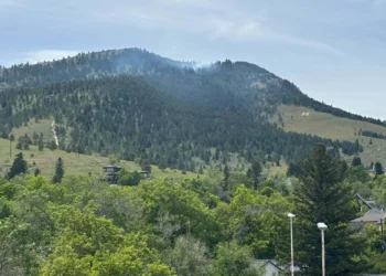 Mountain hillside covered with pine trees, with a few houses at the base under a clear blue sky.