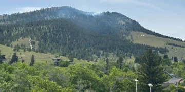 Mountain hillside covered with pine trees, with a few houses at the base under a clear blue sky.