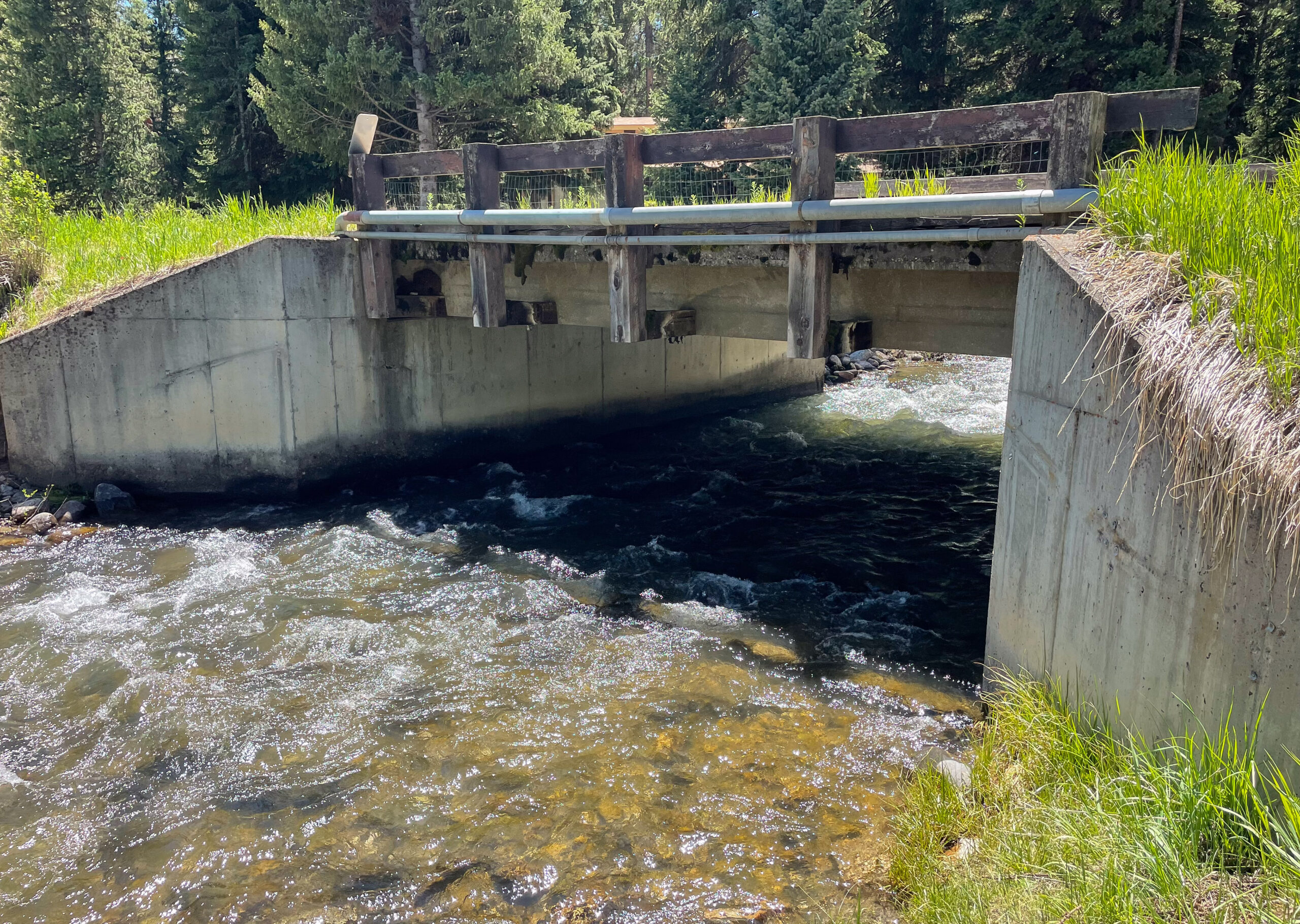 Concrete canal with a weathered wooden railing bridge spanning a fast-flowing stream, grassy banks and pine trees in the background
