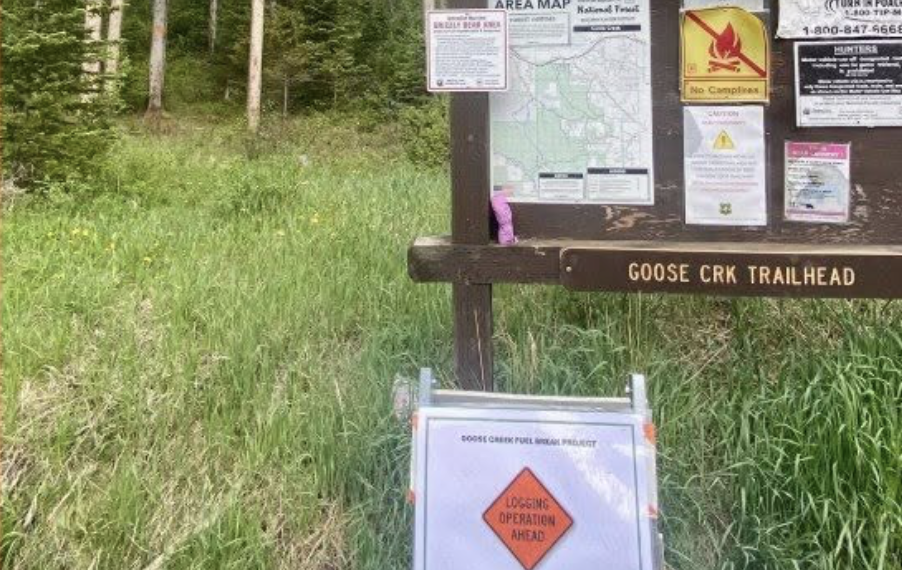 Wooden Goose Creek Trailhead sign in a forest with maps and notices posted on a board nearby shift of signs inside.