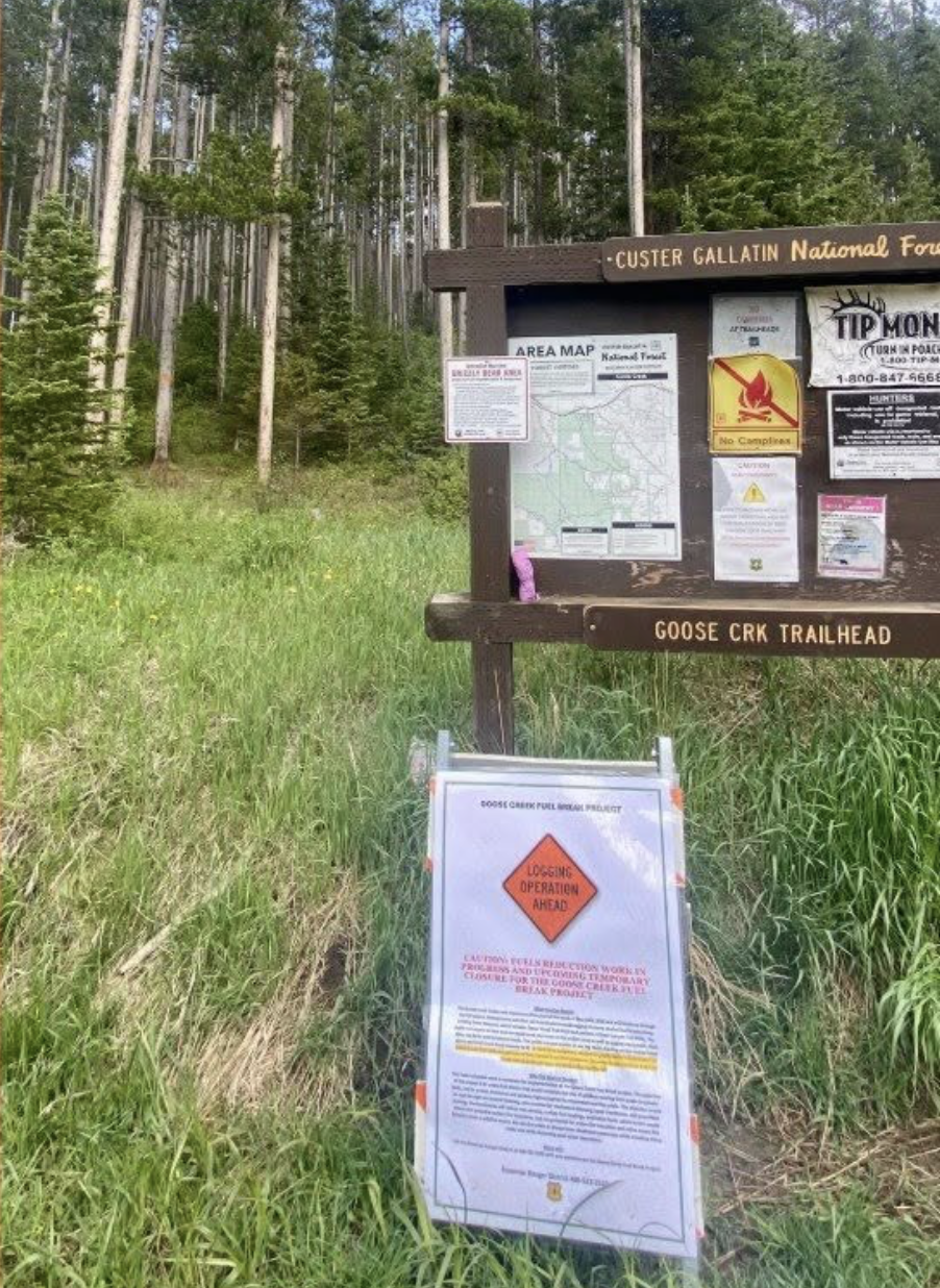 Wooden Goose Creek Trailhead sign in a forest with maps and notices posted on a board nearby shift of signs inside.