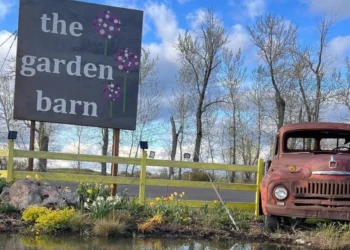 Rusty vintage red truck beside a sign reading 'the garden barn' with a yellow fence and spring flowers by a small pond under a blue sky.
