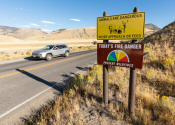 Desert highway with wildlife and fire danger signs; a gray SUV drives past on a two-lane road with dry vegetation nearby.