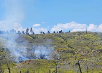 Smoldering hillside after a wildfire; charred tree stumps and scorched earth across a grassy slope under a blue sky with clouds.