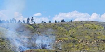 Smoldering hillside after a wildfire; charred tree stumps and scorched earth across a grassy slope under a blue sky with clouds.