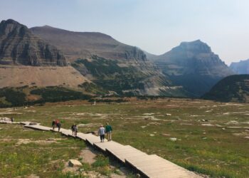 Hikers walk along a wooden boardwalk through a grassy alpine valley with rocky mountains in the distance under a clear sky.