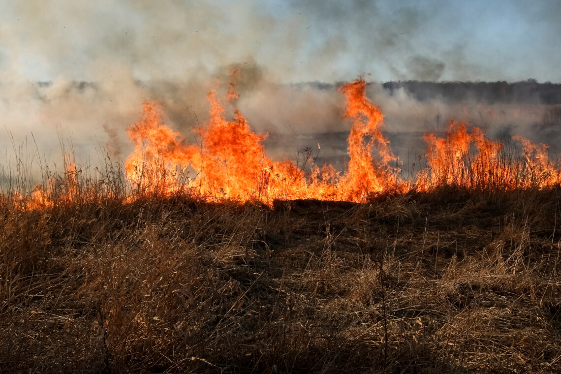 Wildfire burning dry grass in a field with thick smoke rising into the sky.