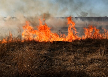 Wildfire burning dry grass in a field with thick smoke rising into the sky.