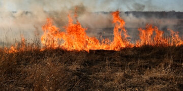 Wildfire burning dry grass in a field with thick smoke rising into the sky.