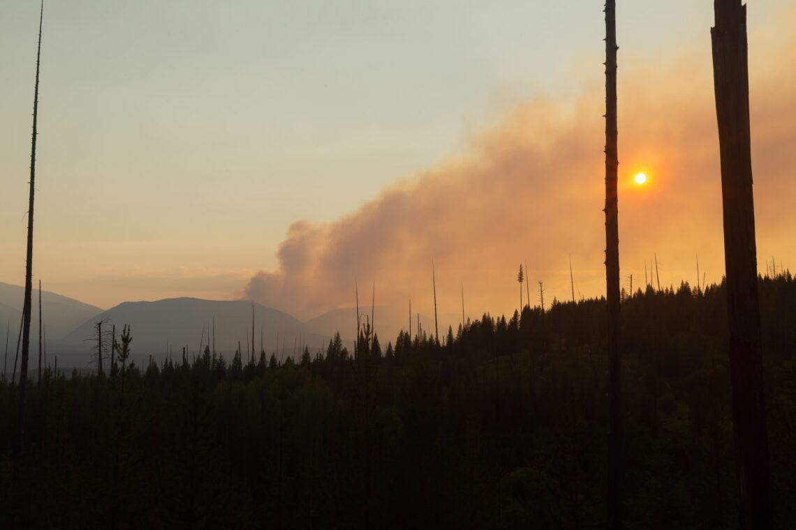 Sunset over a forest with smoke and charred trees, orange sun low on the horizon behind distant mountains.