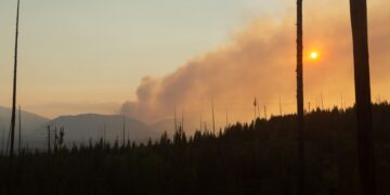Sunset over a forest with smoke and charred trees, orange sun low on the horizon behind distant mountains.