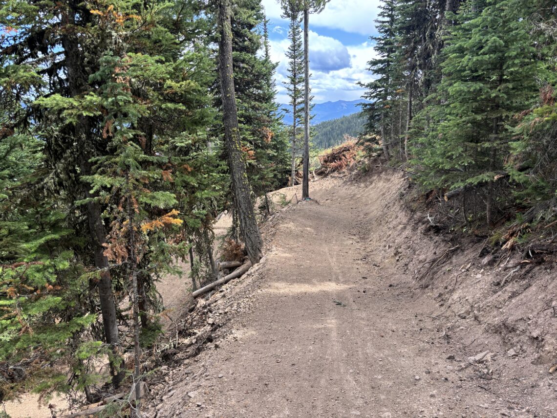 Dirt hiking trail winds through a dense evergreen forest toward distant mountains under a partly cloudy sky.
