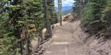 Dirt hiking trail winds through a dense evergreen forest toward distant mountains under a partly cloudy sky.