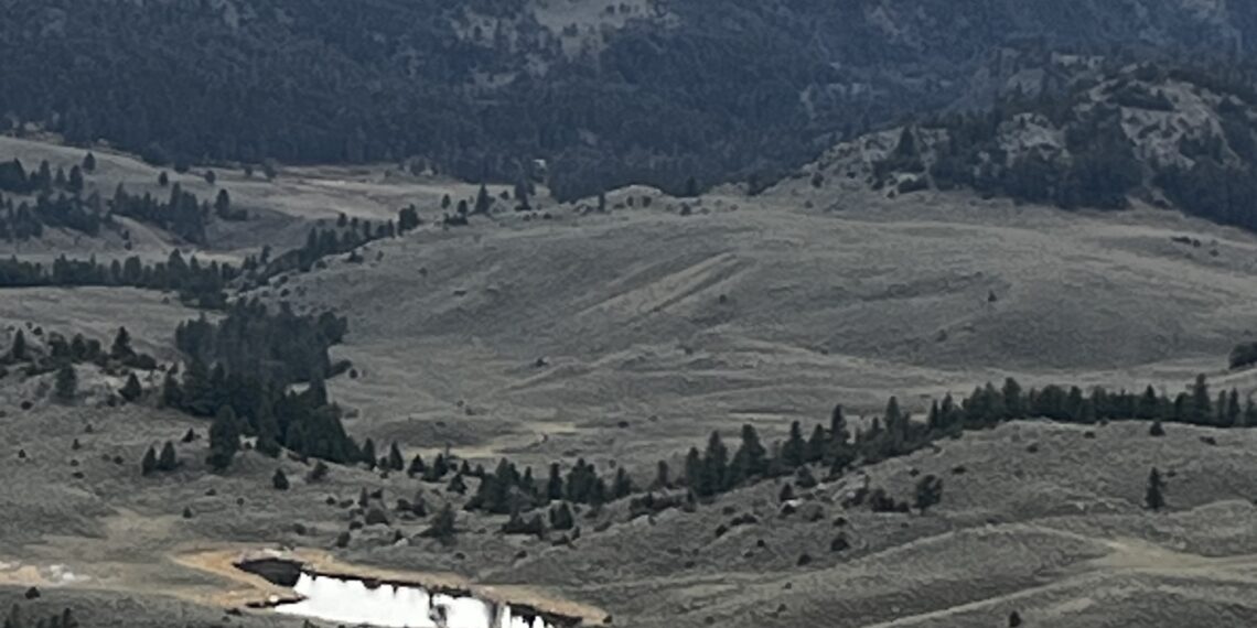 Snowy mountain range under overcast sky with pine-covered hills and a grazing horse in the foreground