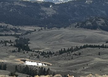 Snowy mountain range under overcast sky with pine-covered hills and a grazing horse in the foreground