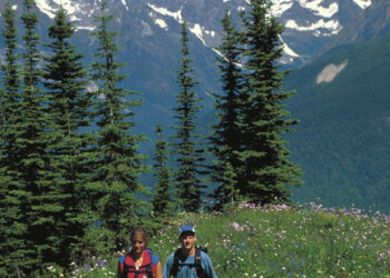 Two hikers walking through a wildflower meadow with snow-capped mountains in the background.