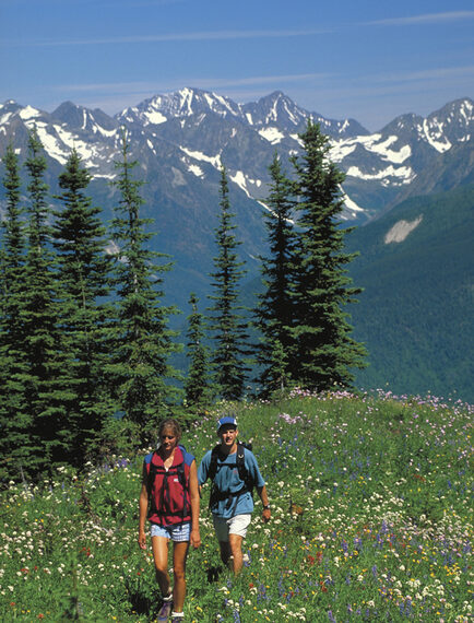 Two hikers walking through a wildflower meadow with snow-capped mountains in the background.